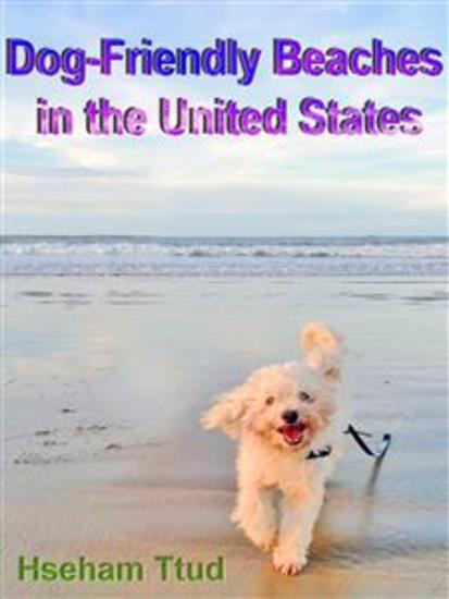 Dog-Friendly Beaches in the United States - cover