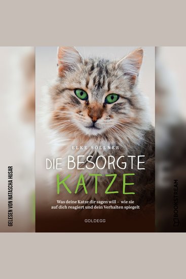 Die besorgte Katze - Was deine Katze dir sagen will - wie sie auf dich reagiert und dein Verhalten spiegelt (Ungekürzt) - cover