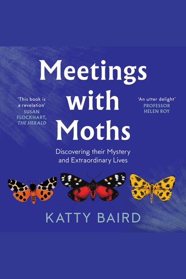 Meetings with Moths: Discovering their Mystery and Extraordinary Lives - cover