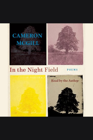 In the Night Field - cover