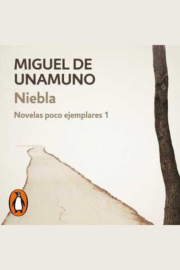 Niebla (Novelas poco ejemplares 1) - cover