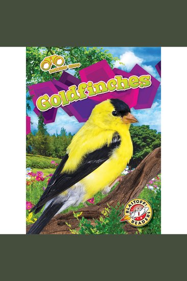 Goldfinches - cover