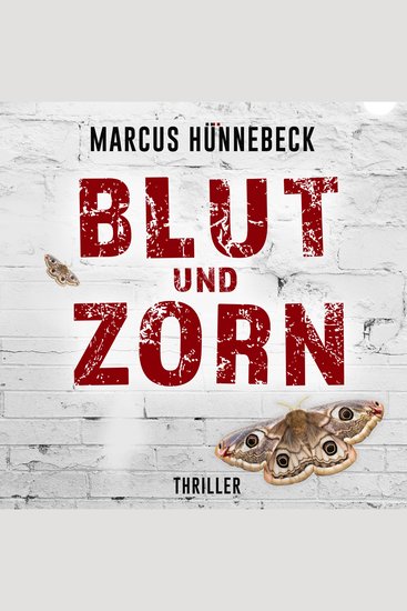 Blut und Zorn - Drosten und Sommer Band 3 (ungekürzt) - cover