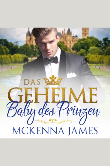Das geheime Baby des Prinzen - cover
