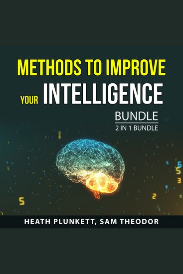 Methods to Improve Your Intelligence Bundle 2 in 1 Bundle - Executive Intelligence and Silent Intelligence - cover
