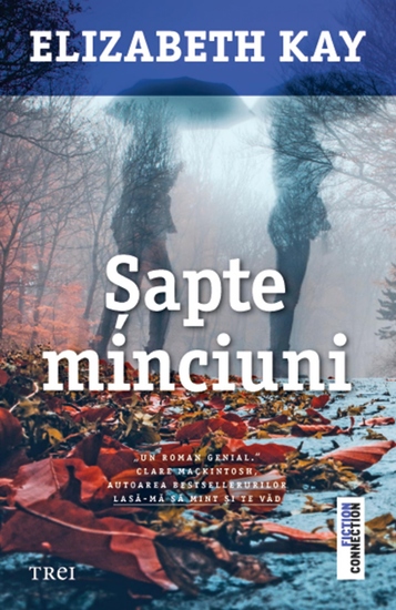 Sapte minciuni - cover
