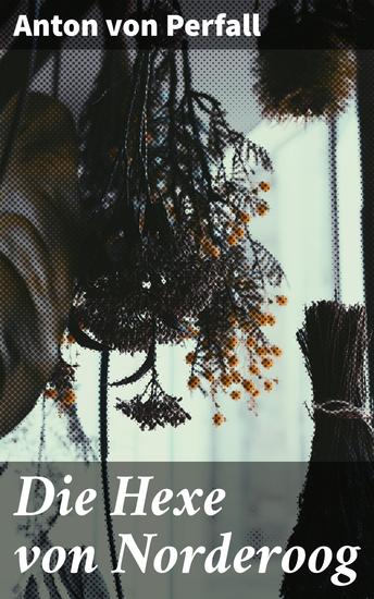 Die Hexe von Norderoog - Ein düsteres Märchen von einer geheimnisvollen Hexe und den Schrecken die sie verbreitet - cover