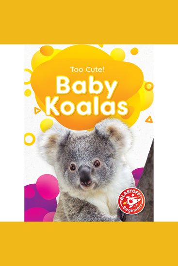 Baby Koalas - cover