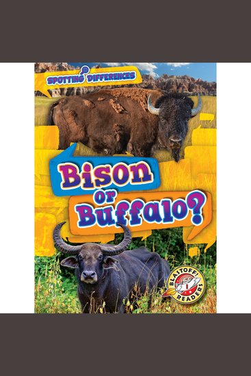 Bison or Buffalo? - cover