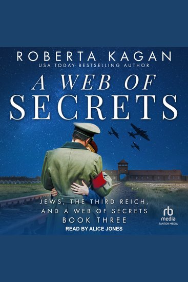 A Web of Secrets - cover