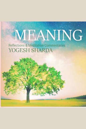 Meaning - cover