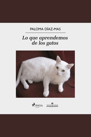 Lo que aprendemos de los gatos - cover