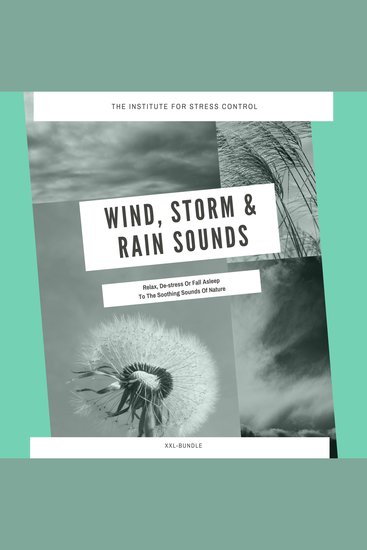 Wind Storm & Rain Sounds for Deep Sleep Meditation Relaxation - Relax De-stress Or Fall Asleep To The Soothing Sounds Of Nature - cover