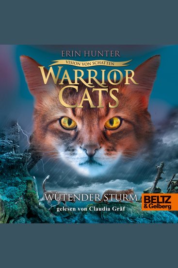 Warrior Cats - Vision von Schatten Wütender Sturm - Staffel VI Band 6 - cover