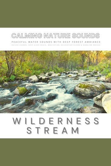 Peaceful Water Sounds With Deep Forest Ambiance: Wilderness Stream & Babbling Brook - The Sound Healing Collection: Calming Nature Sounds Deep Sleep Sounds Meditation Sounds Relaxation Sounds & Babbling Brooks - cover