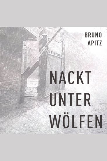 Nackt unter Wölfen - cover