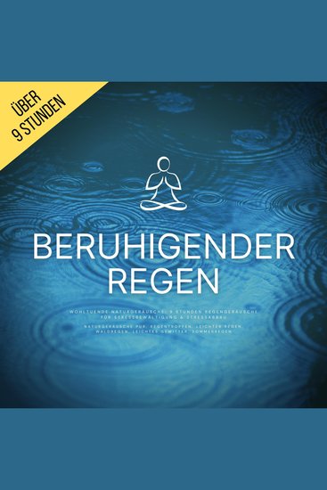 Beruhigender Regen (Naturgeräusche pur Regentropfen Leichter Regen Waldregen Leichtes Gewitter Sommerregen) - Wohltuende Naturgeräusche: 9 Stunden Regengeräusche für Stressbewältigung & Stressabbau - cover