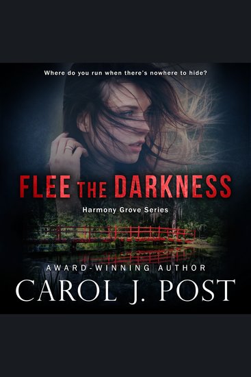 Flee the Darkness - cover