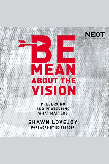 Be Mean About the Vision - Preserving and Protecting What Matters - cover