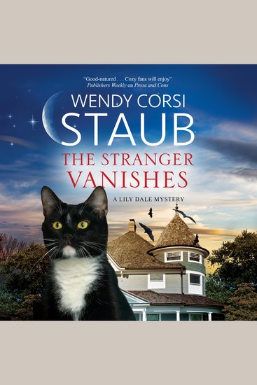 The Stranger Vanishes - cover