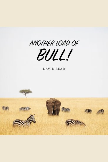 Another Load of Bull - cover