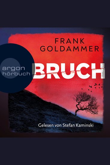 Bruch - Ein dunkler Ort - Felix Bruch Band 1 (Gekürzt) - cover