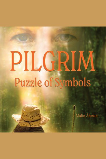 PILGRIM: Puzzle of Symbols - A true story about spiritual awakening by being present in nature - cover