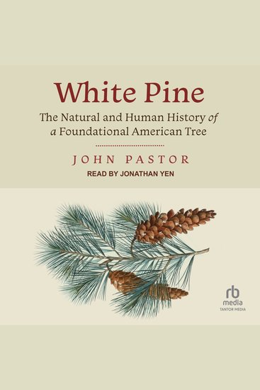 White Pine - The Natural and Human History of a Foundational American Tree - cover