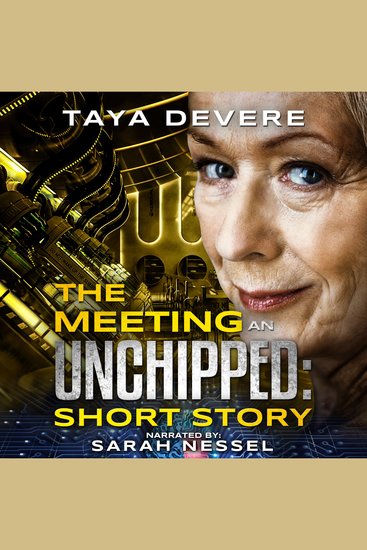 Meeting The: An Unchipped Short Story - cover
