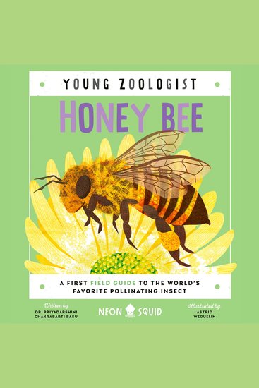 Honey Bee (Young Zoologist) - A First Field Guide to the World's Favorite Pollinating Insect - cover