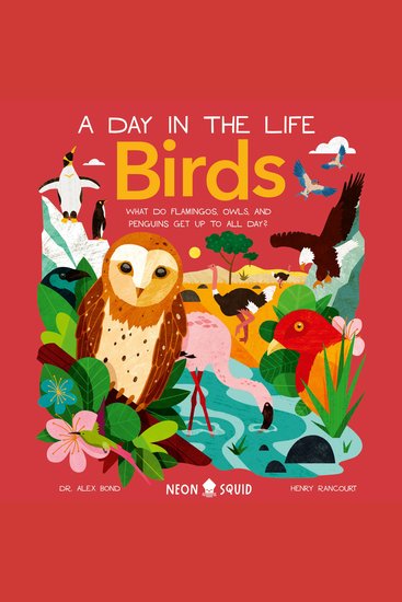 Birds (A Day in the Life) - What Do Flamingos Owls and Penguins Get Up To All Day? - cover