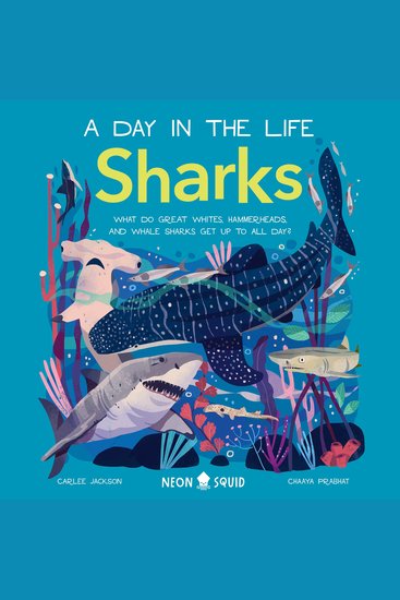 Sharks (A Day in the Life) - What Do Great Whites Hammerheads and Whale Sharks Get Up To All Day? - cover