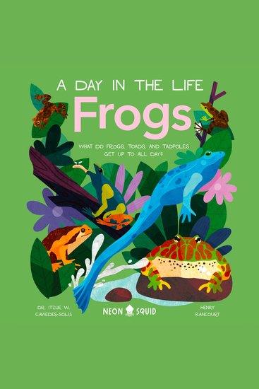 Frogs (A Day in the Life) - What Do Frogs Toads and Tadpoles Get Up to All Day? - cover