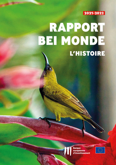 Rapport « BEI Monde – L'histoire » - cover