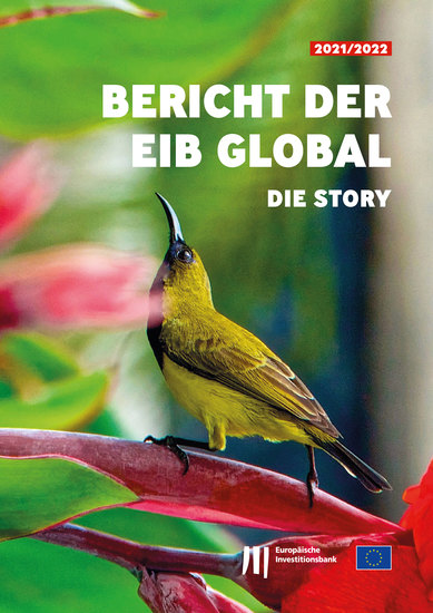 Bericht der EIB Global: Die Story - cover