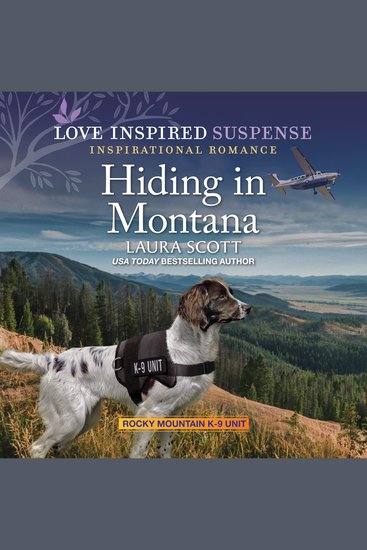 Hiding in Montana - cover