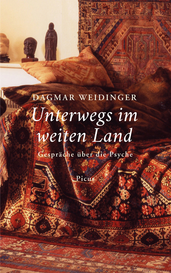 Unterwegs im weiten Land - Gespräche über die Psyche - cover