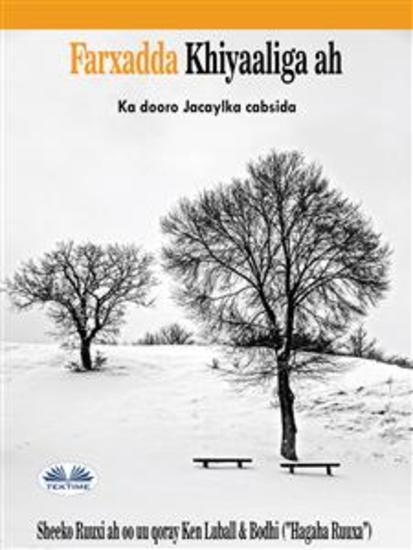 Khayaaliga Farxada - Jaceylka Laga Dooranayo Cabsida - cover