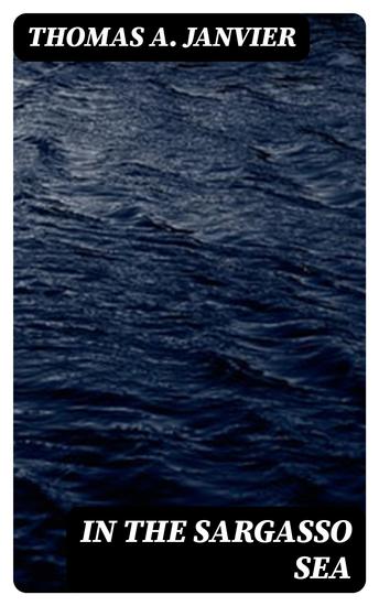 In the Sargasso Sea - A Novel - cover