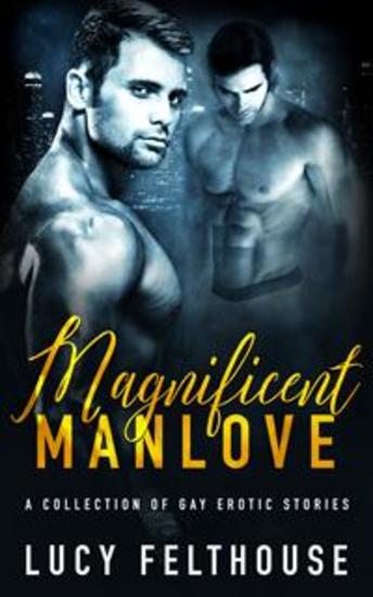 Magnificent Manlove - A Collection of Gay Erotic Stories - cover