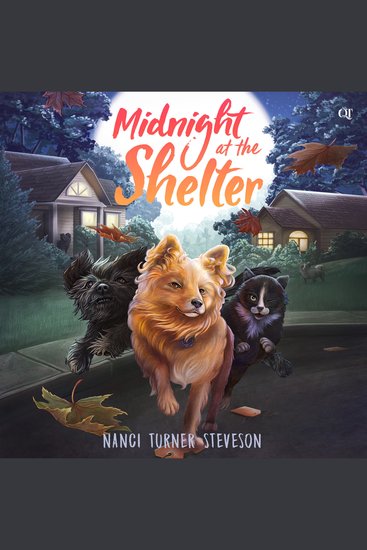 Midnight at the Shelter - cover