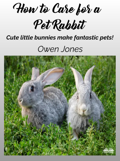 How To Care For A Pet Rabbit - Cute Little Bunnies Make Fantastic Pets! - cover