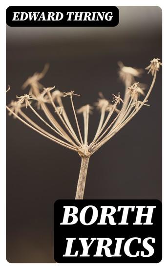 Borth Lyrics - cover