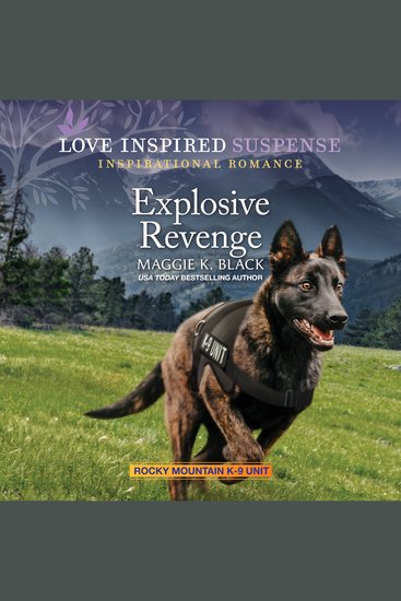 Explosive Revenge - cover