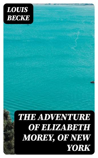 The Adventure Of Elizabeth Morey of New York - 1901 - cover