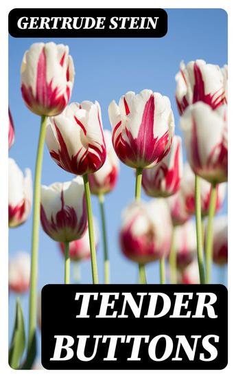 Tender Buttons - Objects—Food—Rooms - cover