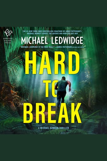 Hard to Break - A Michael Gannon Thriller - cover