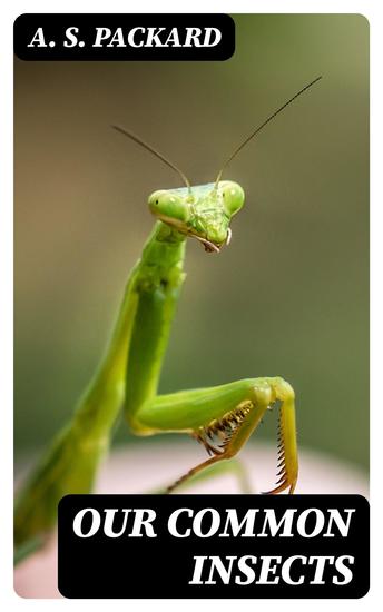 Our Common Insects - A Popular Account of the Insects of Our Fields Forests Gardens and Houses - cover