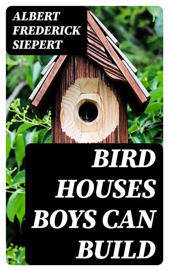 Bird Houses Boys Can Build - cover