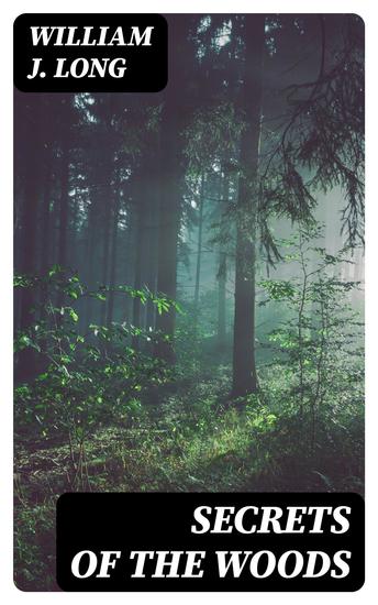 Secrets of the Woods - cover